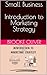 Small Business Introduction to Marketing Strategy by Brooke Oliver