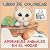 Adorables animales en el ho...