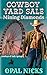 Cowboy Yard Sale - Mining D...