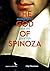 The God of Spinoza by Gijs Dreesman