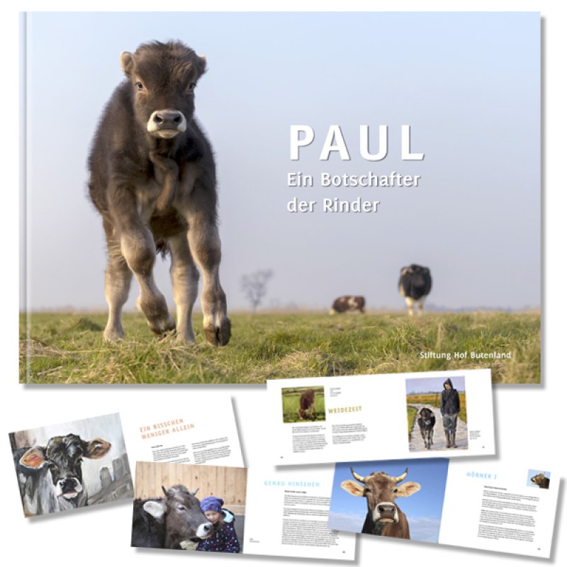 Paul: Ein Botschafter der Rinder