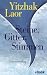 Steine, Gitter, Stimmen: Roman