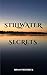 Stillwater Secrets by Brian Frederick