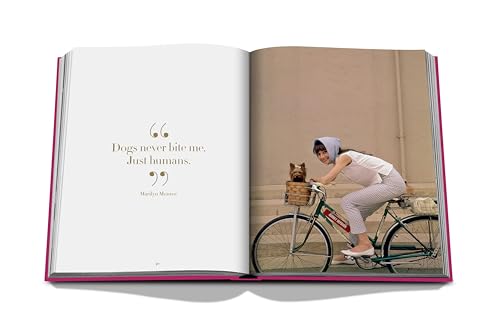 Chic Dogs (Hardcover)