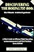 DISCOVERING THE BOEING 737-800 by HERB P. GUERRERO