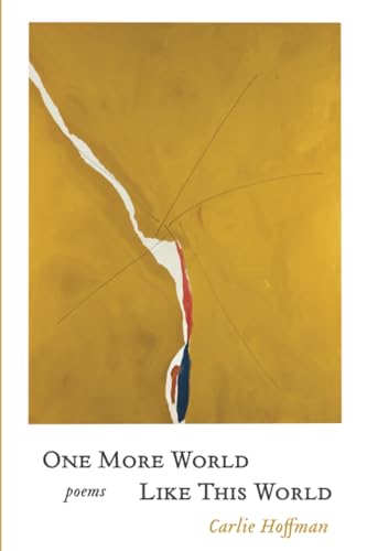 One More World Like This World (Paperback)