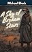 A Sky of Broken Stars by Michael Black A Sky of Broken Stars by Michael Black