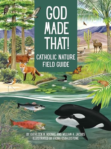 God Made That! (Paperback)