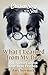 Chicken Soup for the Soul: What I Learned from My Dog: 101 Stories about Our Best Friends