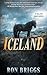 Iceland by Ron Briggs