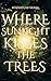 Where Sunlight Kisses The Trees by Benjamin Metherall