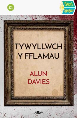 Tywyllwch y Fflamau (Paperback)