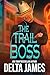 The Trail Boss (Cowboys of Silver Spur Security #1) by Delta James
