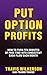 Put Option Profits by Travis Wilkerson