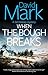 When the Bough Breaks (A Sal Delaney Mystery, 1)