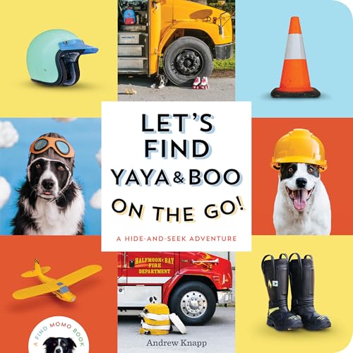 Let's Find Yaya and Boo on the Go!: A Hide-and-Seek Adventure (Find Momo Book 8)