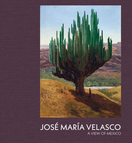 Jose Maria Velasco: A View of Mexico (Hardcover)
