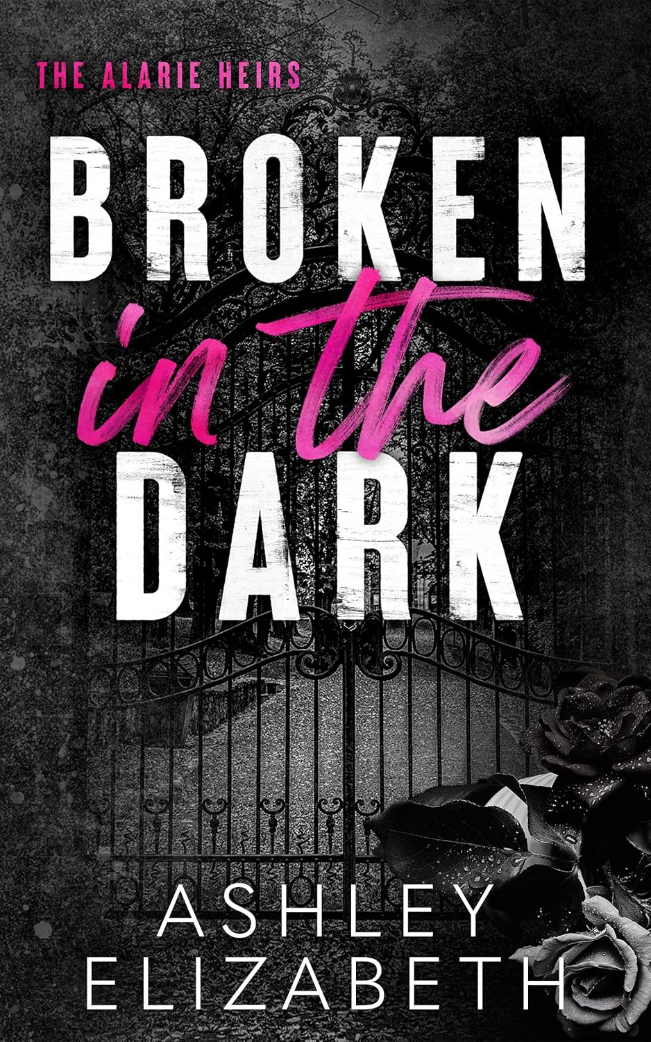 Broken in the Dark (The Alarie Heirs, #1)