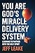 You are God's Miracle Delivery System by Jeff Leake