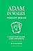 Adam in Wales – Product Des...