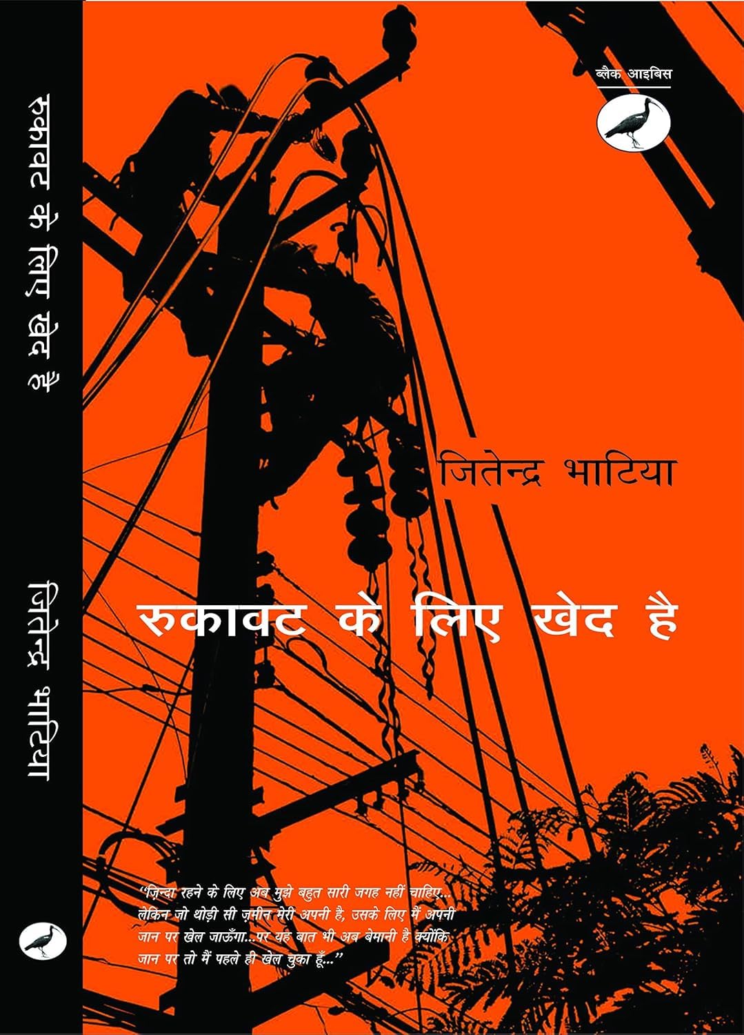 रुकावट के लिए खेद है