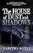 The House of Dust and Shadows