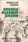 America Ogarului Cenușiu