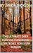 THE ULTIMATE DEER HUNTING H...