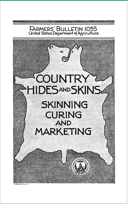 Country Hides and Skins: Skinning, Curing and Marketing