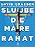 Slujbe de mare rahat