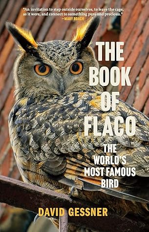 The Book of Flaco: The World's Most Famous Bird