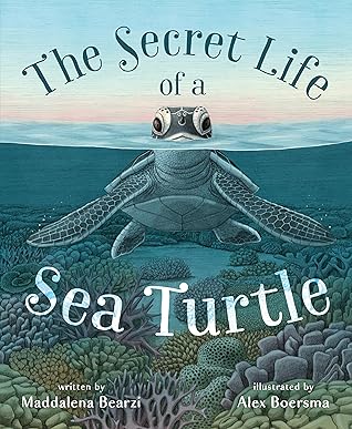 The Secret Life of a Sea Turtle