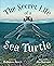 The Secret Life of a Sea Turtle