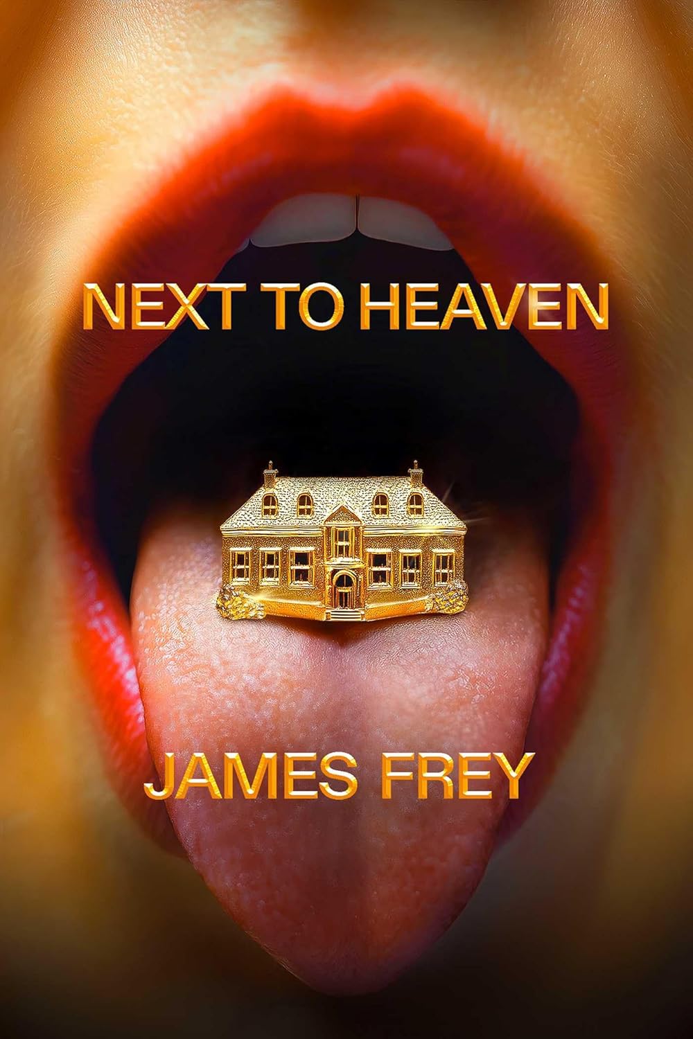 Next to Heaven (Hardcover)