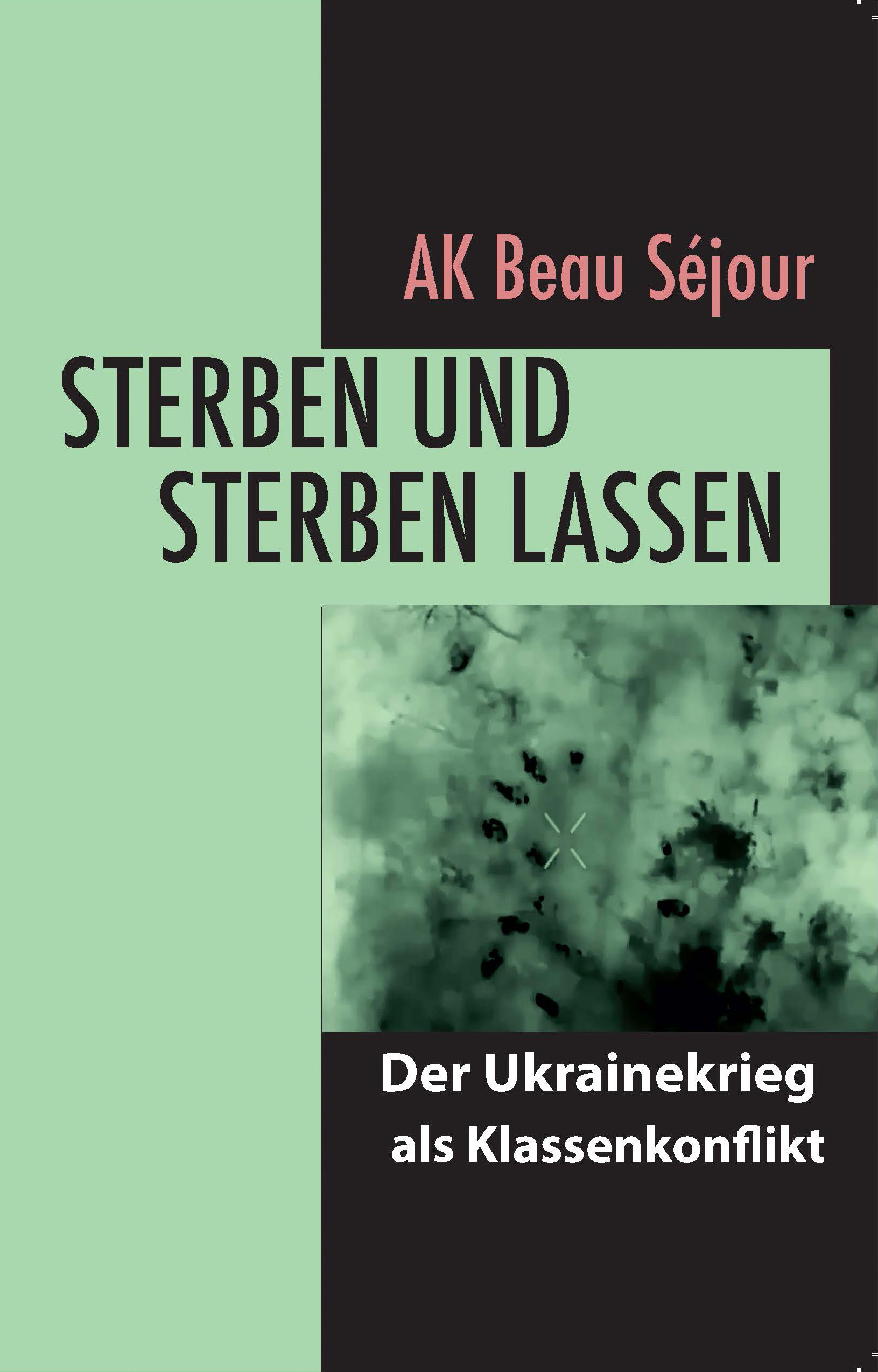 Sterben und sterben lassen. Der Ukrainekrieg als Klassenkonflikt (Paperback)