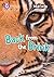 Collins Big Cat - Back from...