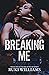 Breaking Me by Ruki Williams