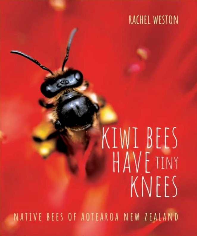 Kiwi Bees Have Tiny Knees: Native Bees of Aotearoa New Zealand
