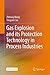 Gas Explosion and Its Protection Technology in Process Industries