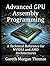 Advanced GPU Assembly Programming: A Technical Reference for NVIDIA and AMD Architectures