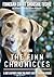 The Finn Chronicles by Gwen Romack The Finn Chronicles by Gwen Romack