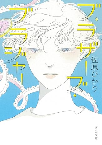 ブラザーズ・ブラジャー (Paperback)