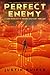 Perfect Enemy: A Jake Rush ...