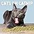Cats on Catnip Wall Calenda...