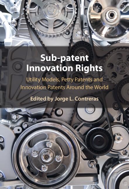 Sub-patent Innovation Rights: Utility Models, Petty Patents and Innovation Patents Around the World (Hardcover)