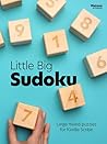Little Big Sudoku...