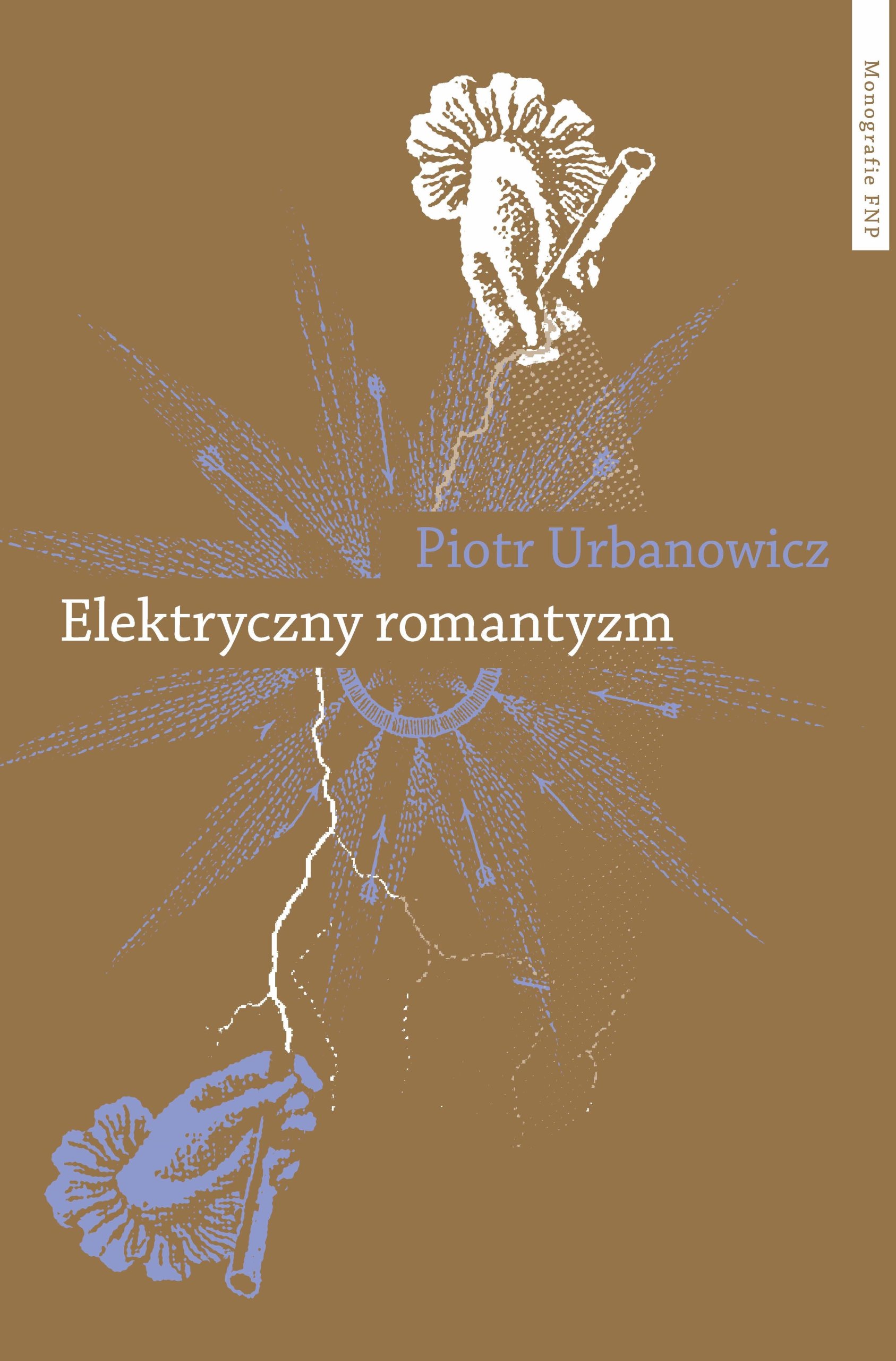 Elektryczny romantyzm. Nauka o elektryczności a literatura i filozofia polska pierwszej połowy XIX wieku