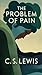 The Problem of Pain