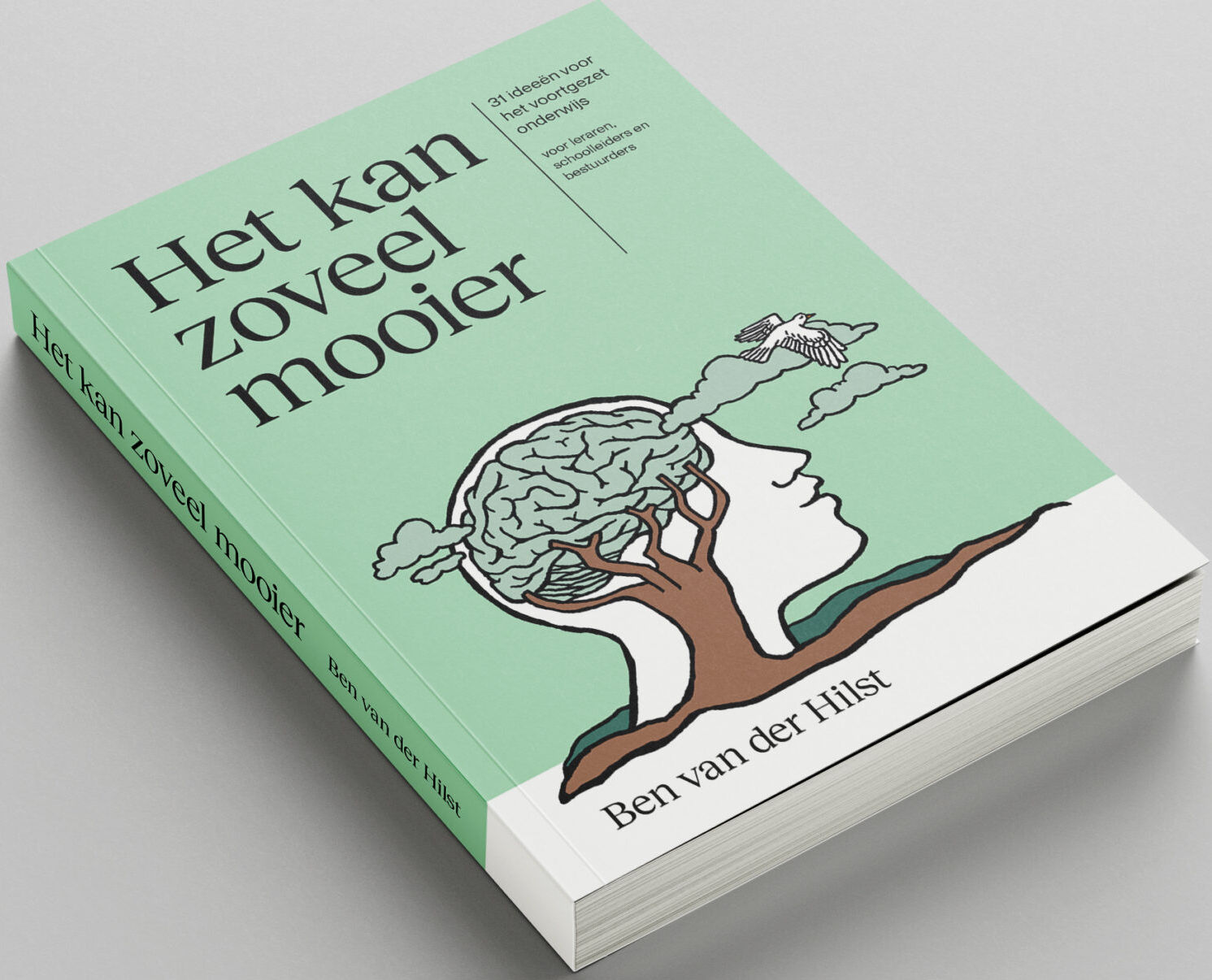 Het kan zoveel mooier: 31 ideeën voor het voortgezet onderwijs