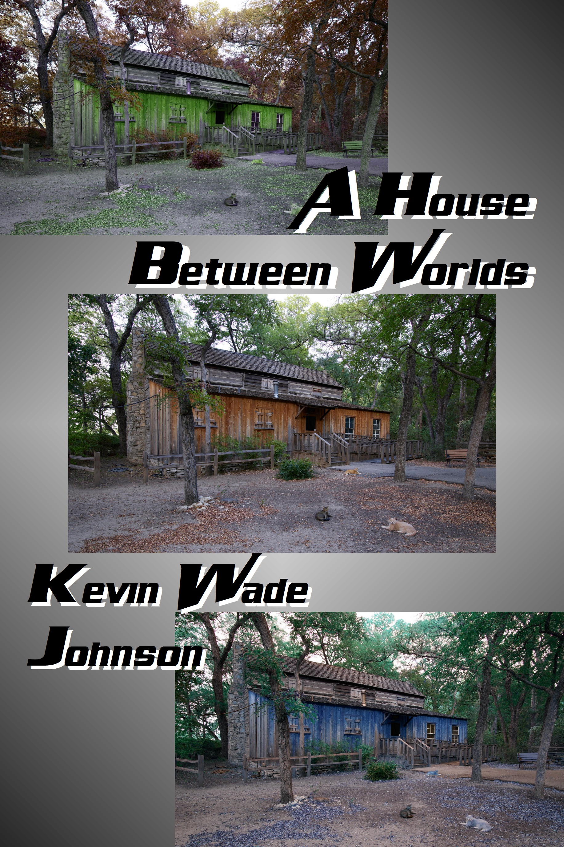 A House Between Worlds